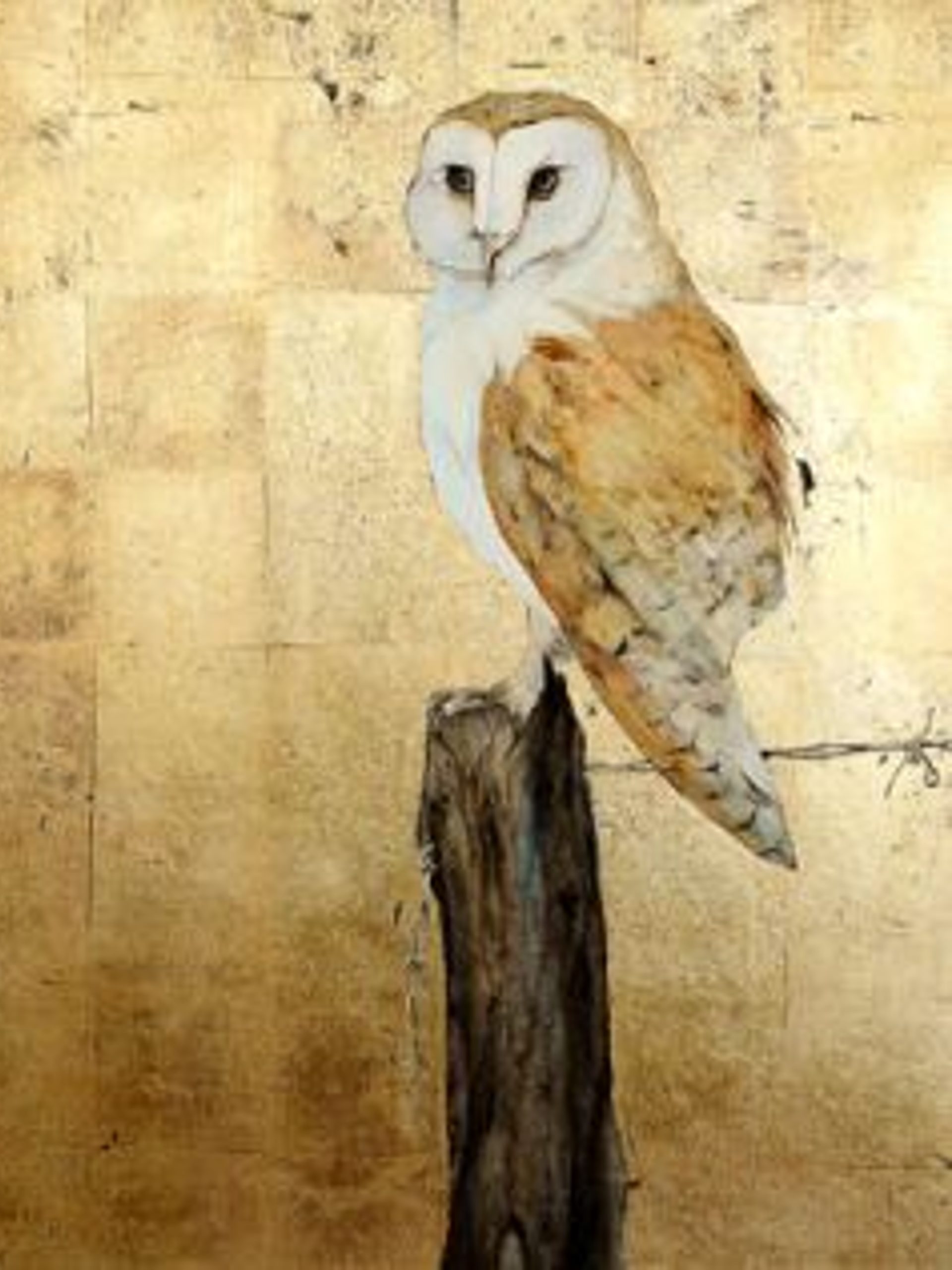 Nighttime Owl VIDEO TUTORIAL Canvas Painting Kit