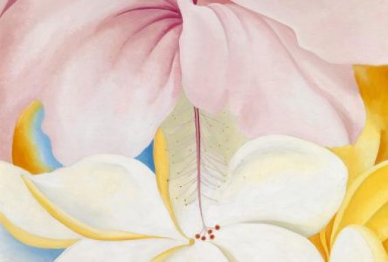 ‘Georgia O‘Keeffe: Hibiscus with Plumeria‘